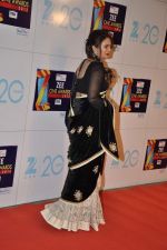 Huma Qureshi at Zee Awards red carpet in Mumbai on 6th Jan 2013 (132).JPG